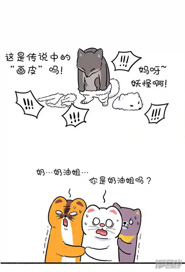 快把动物放进冰箱308真实的自己，就是最好的自己！