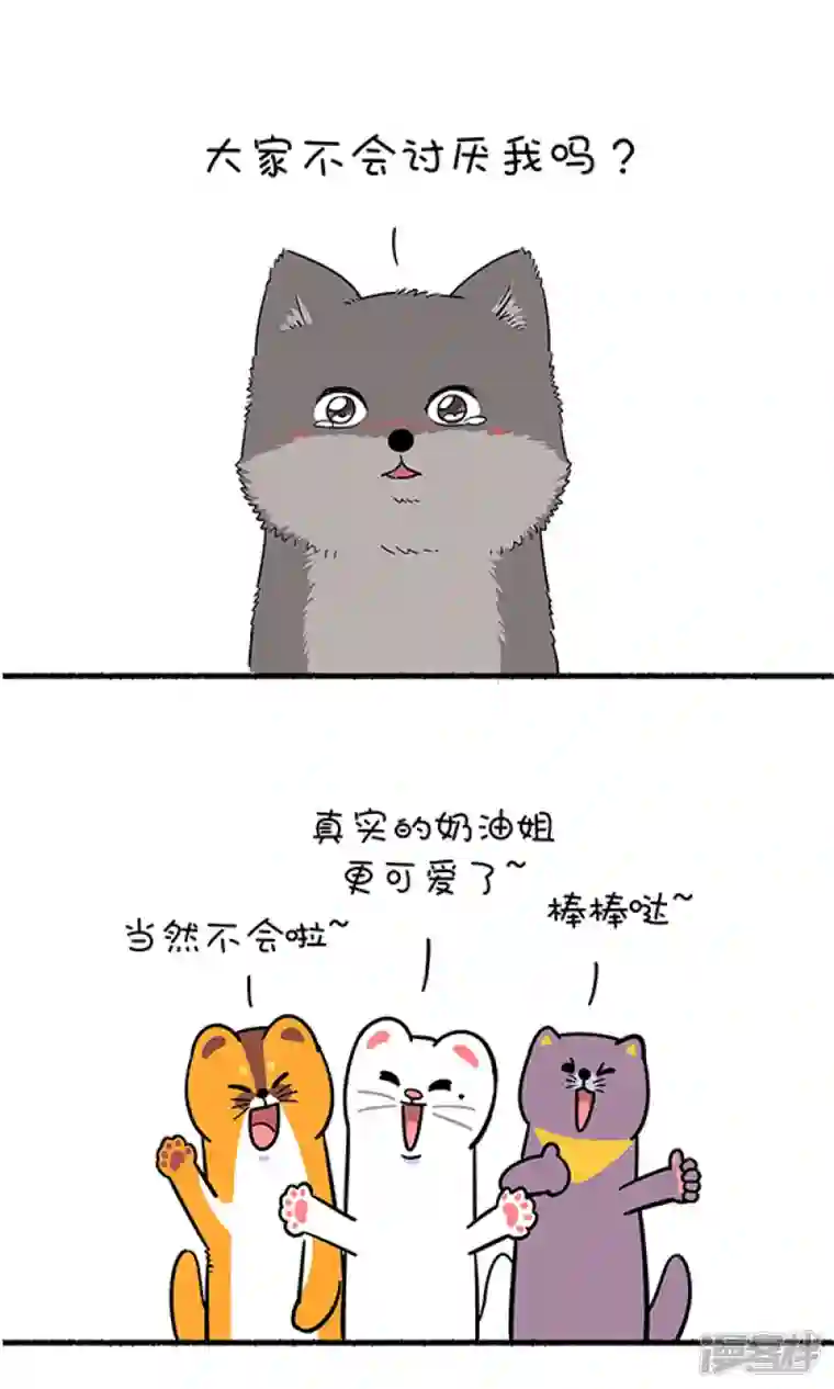 快把动物放进冰箱308真实的自己，就是最好的自己！