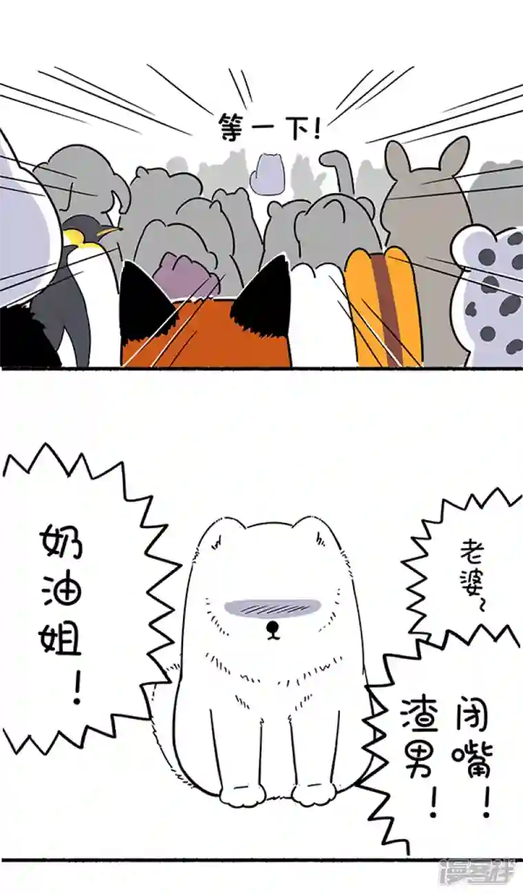 快把动物放进冰箱308真实的自己，就是最好的自己！