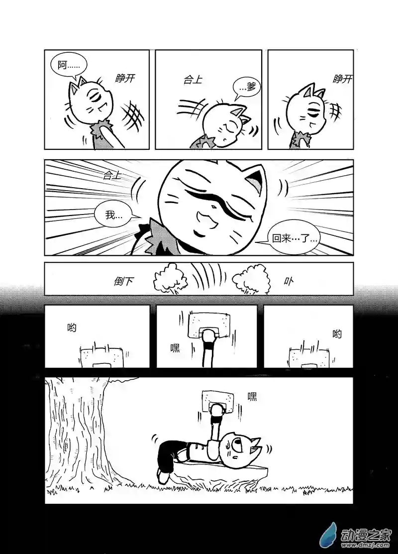 喵来自江湖第十七回