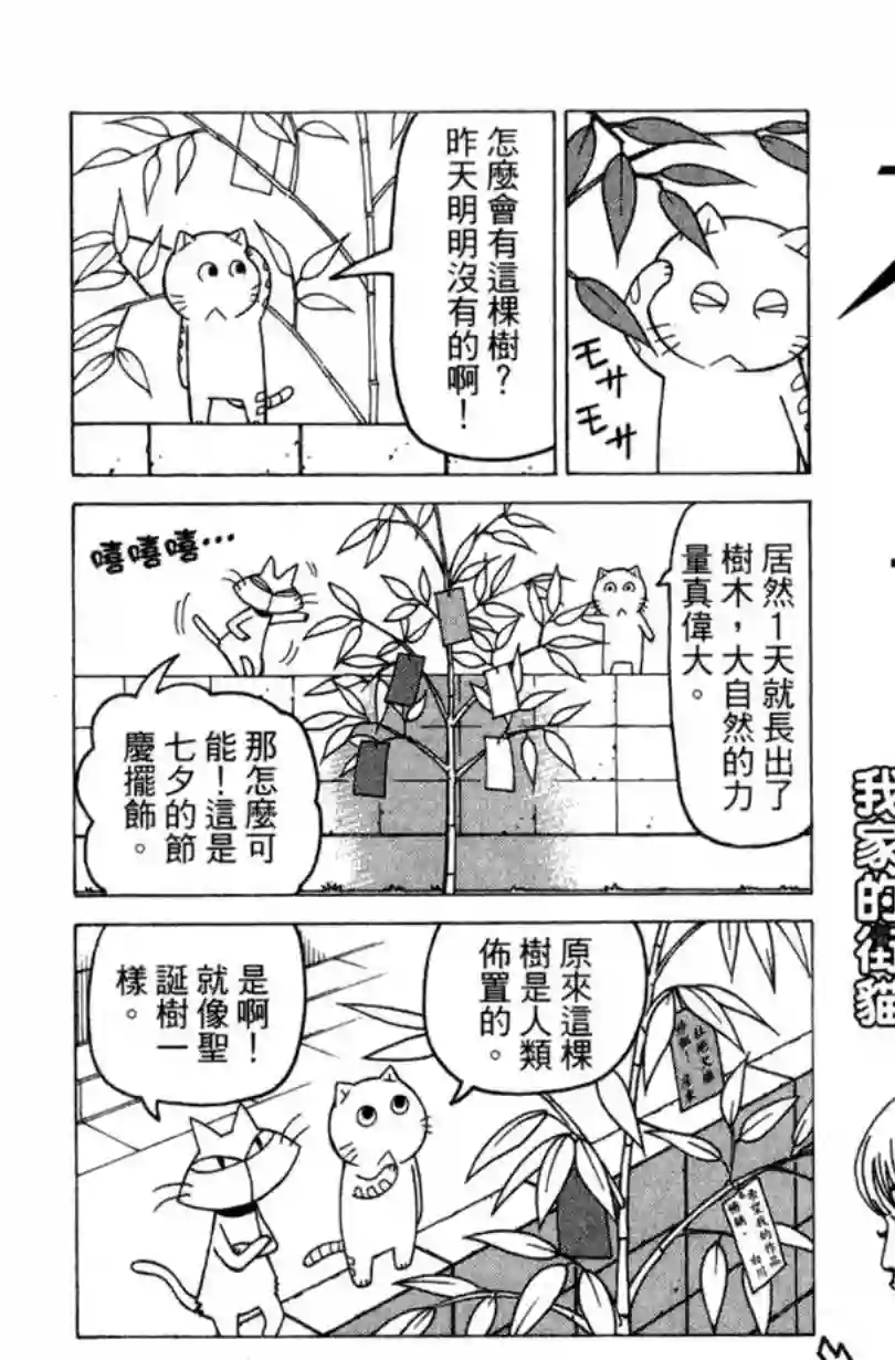 我家的街猫第02卷