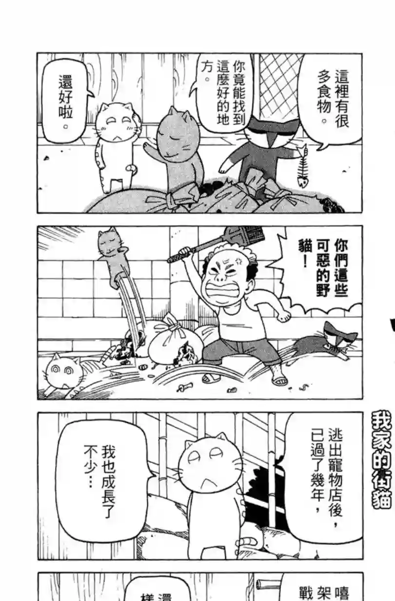 我家的街猫第02卷