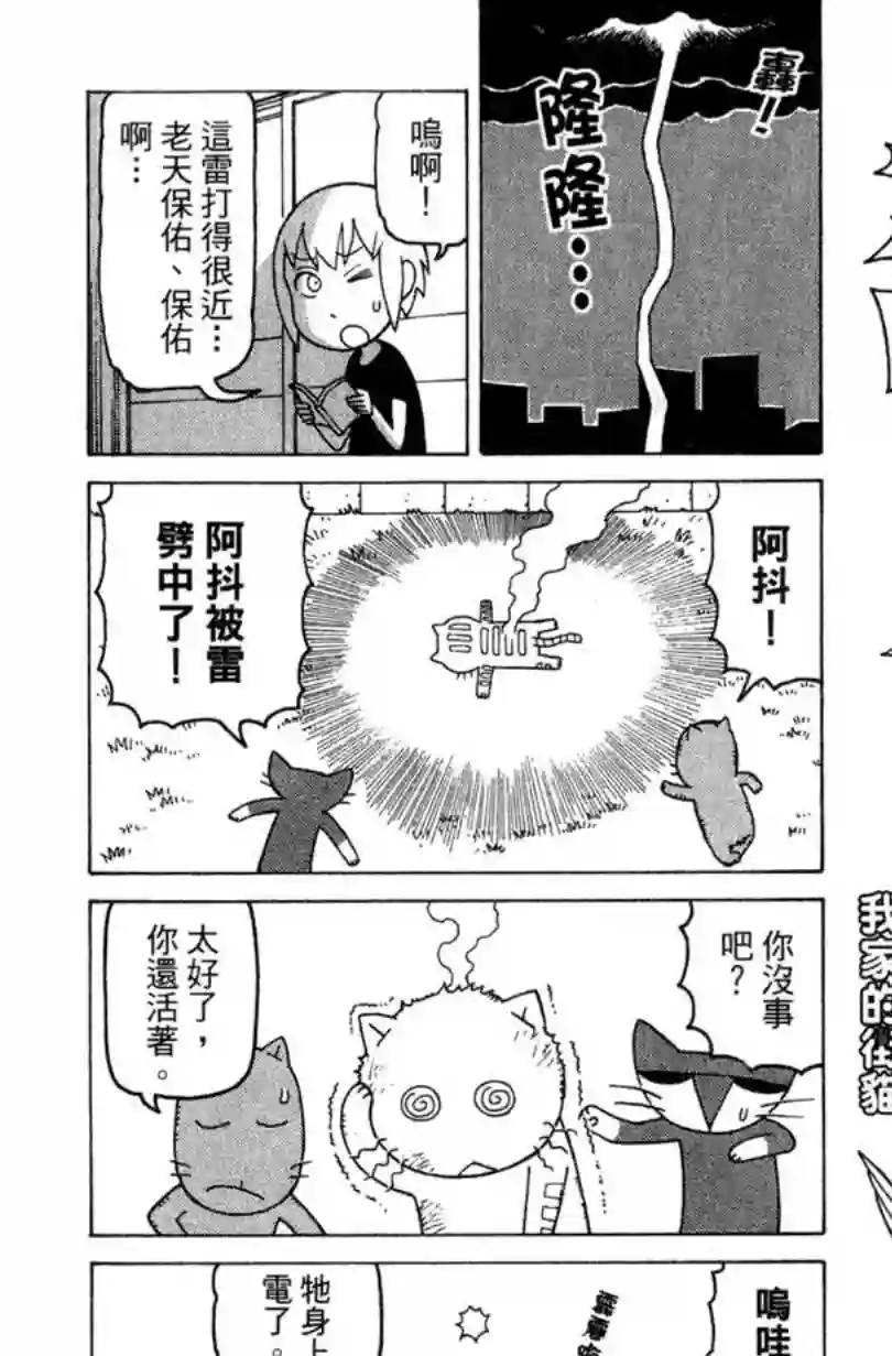 我家的街猫第02卷