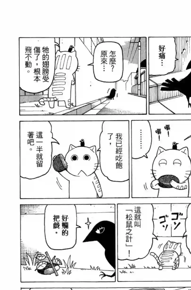 我家的街猫第02卷