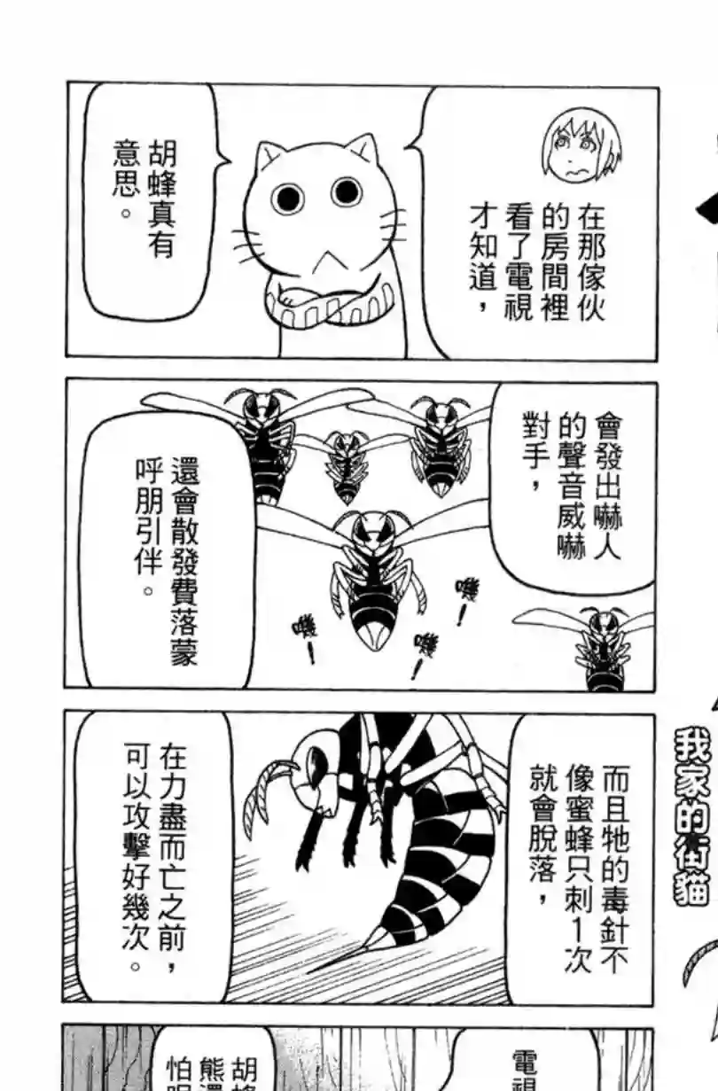 我家的街猫第02卷