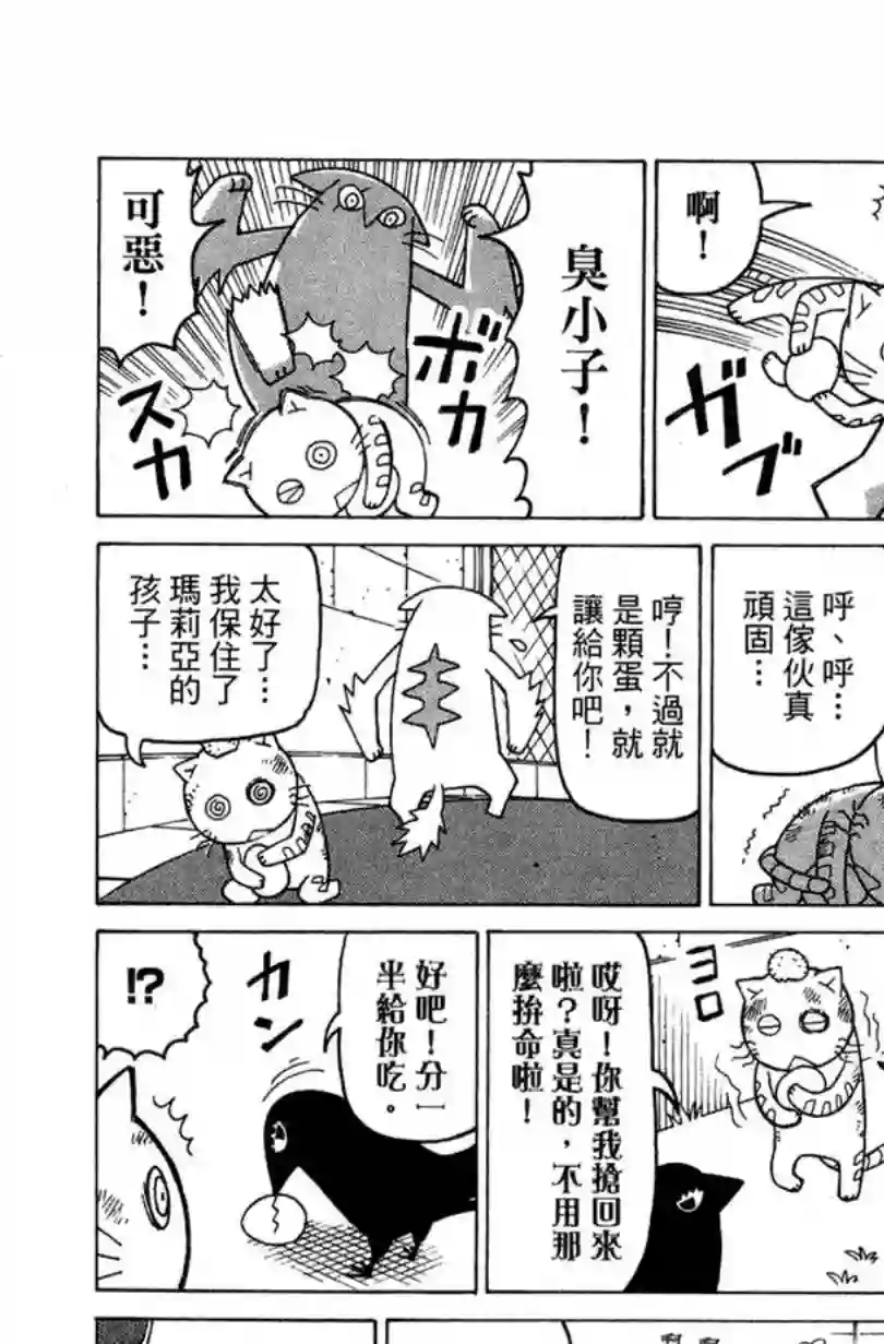 我家的街猫第02卷