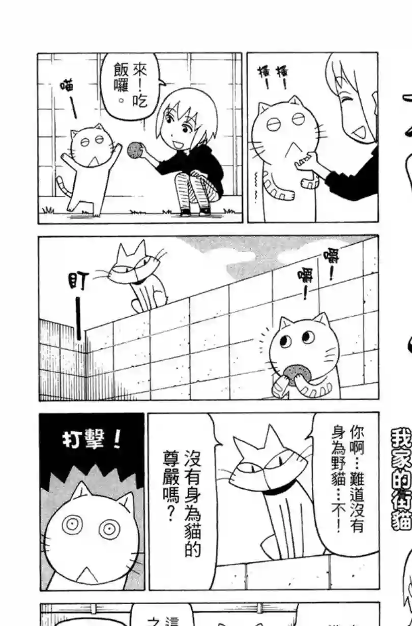 我家的街猫第02卷