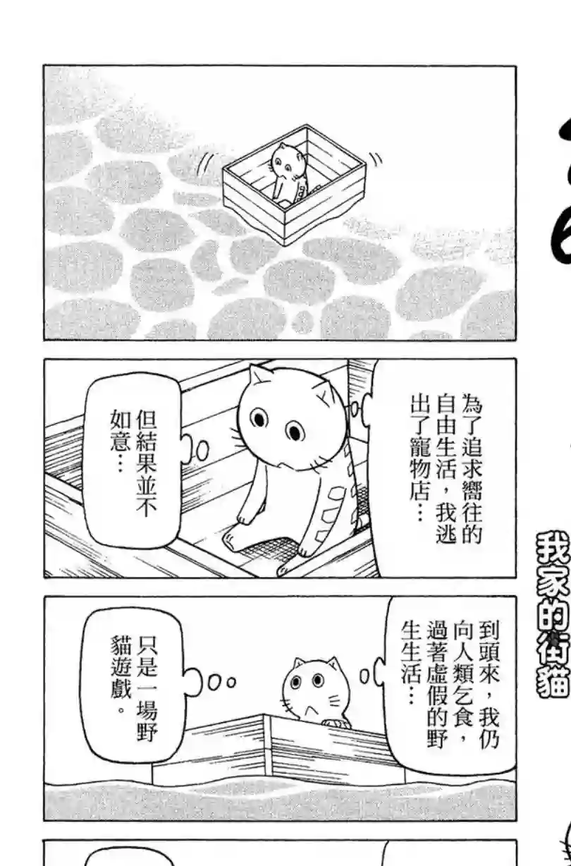 我家的街猫第02卷