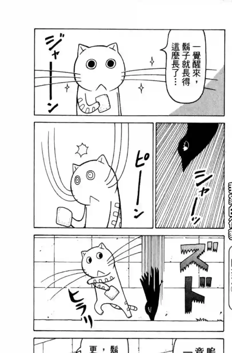 我家的街猫第02卷