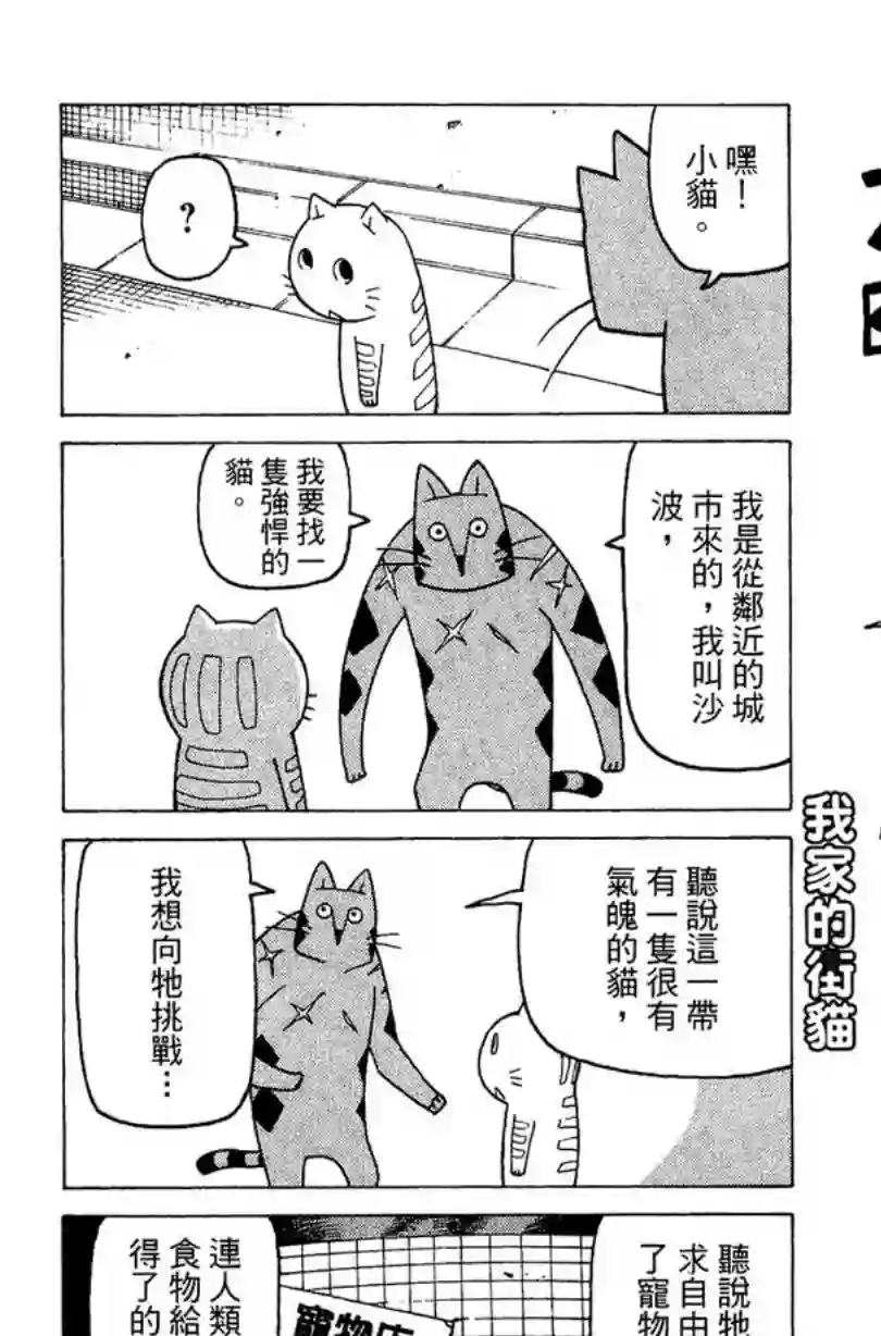 我家的街猫第02卷