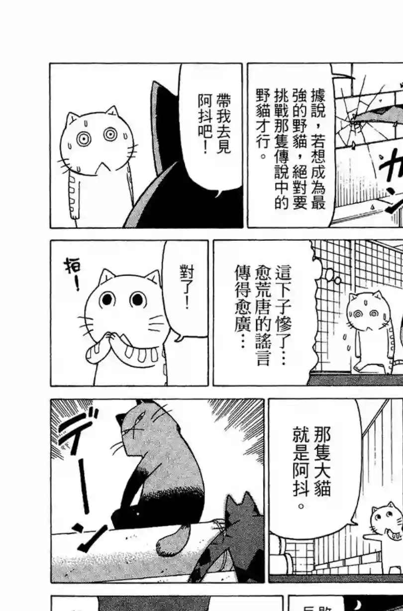 我家的街猫第02卷