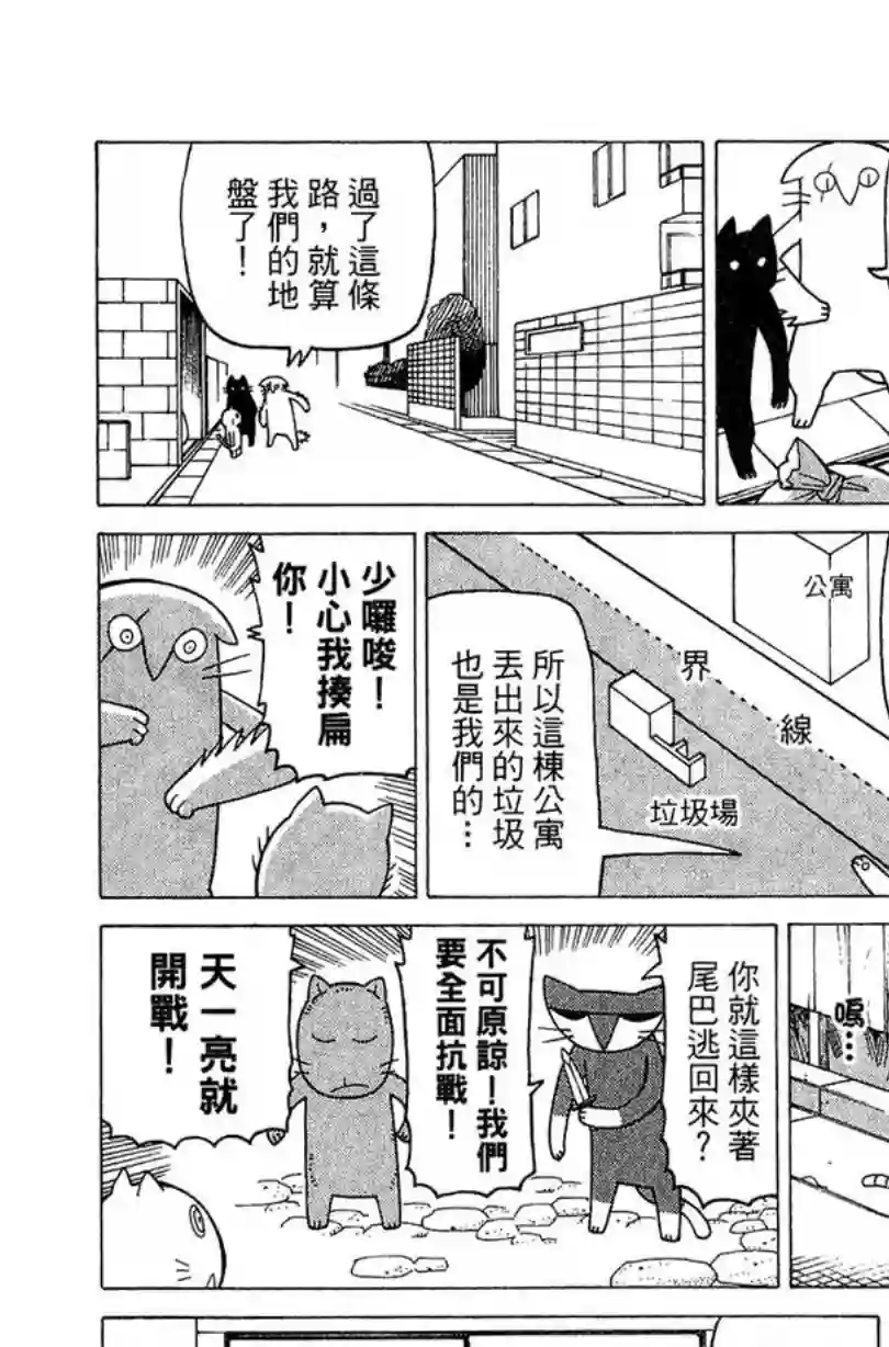 我家的街猫第02卷