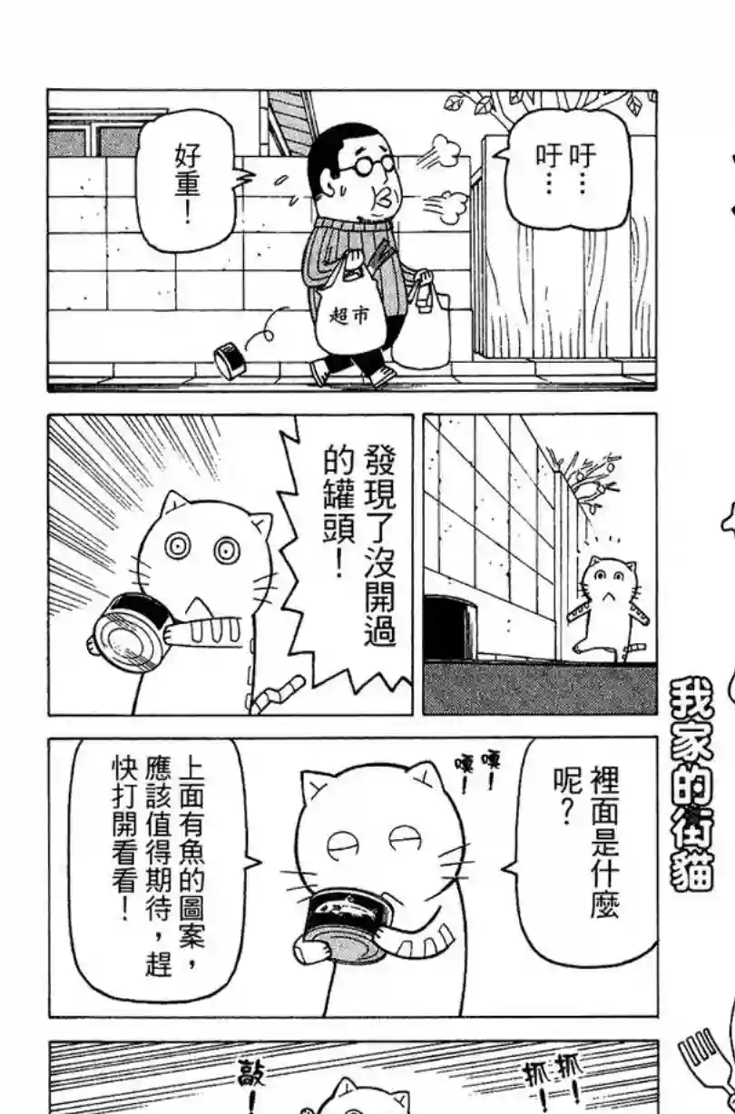我家的街猫第02卷