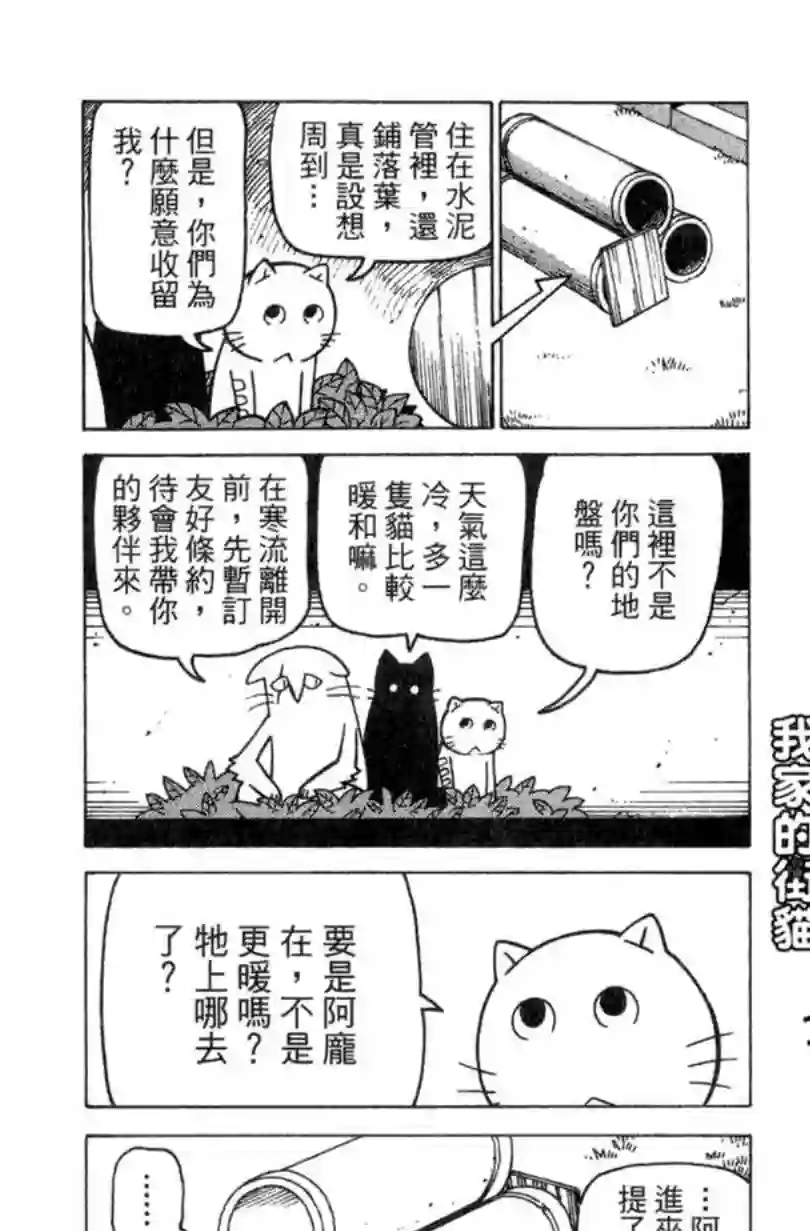我家的街猫第02卷