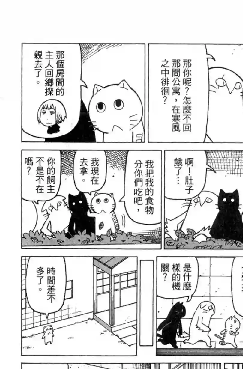 我家的街猫第02卷