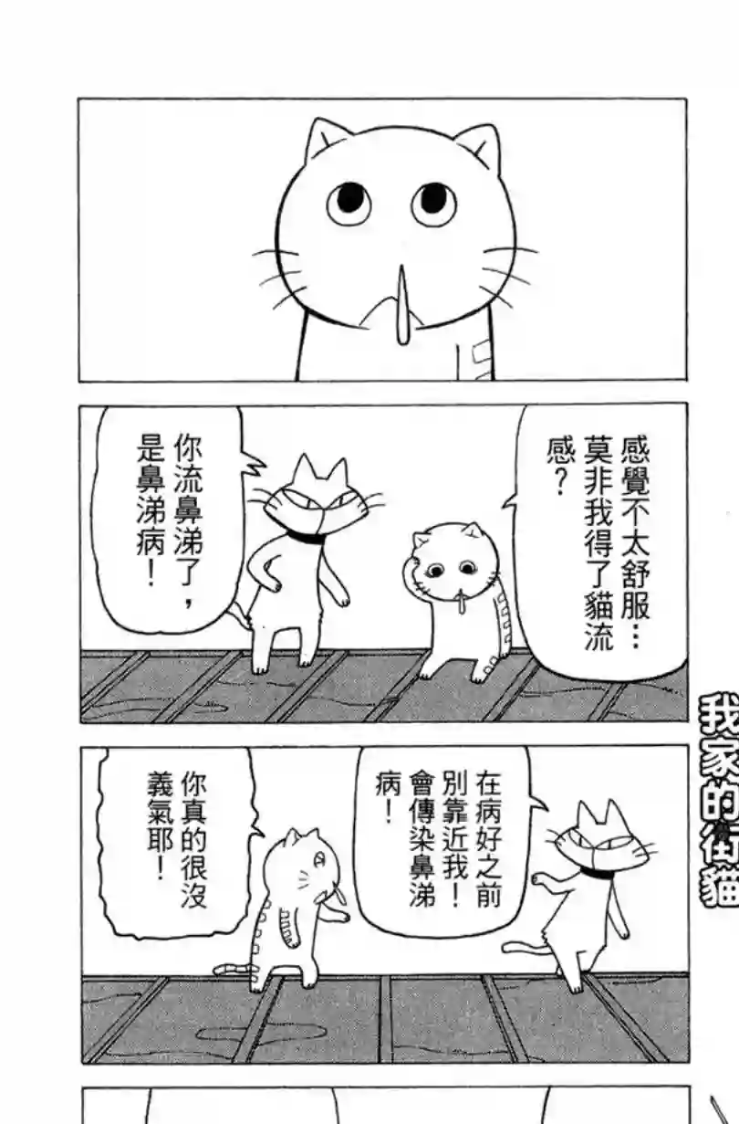 我家的街猫第02卷