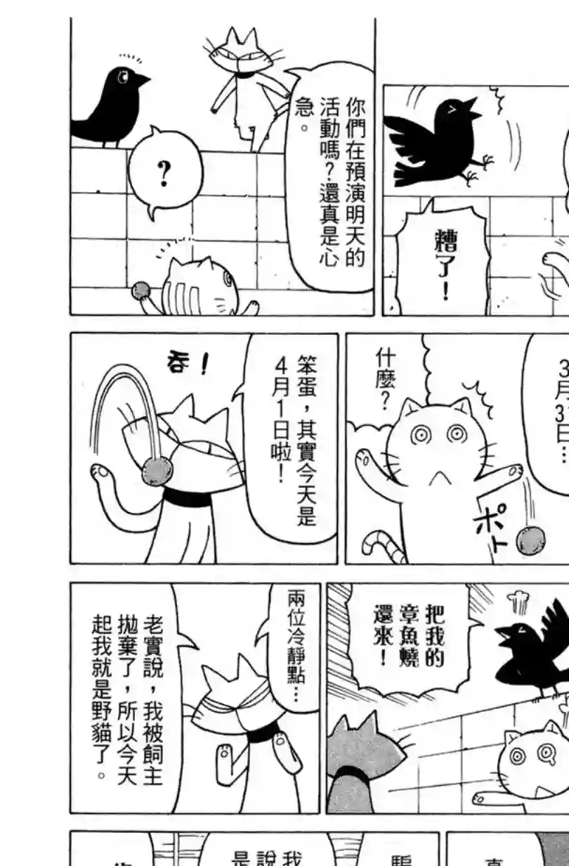 我家的街猫第02卷