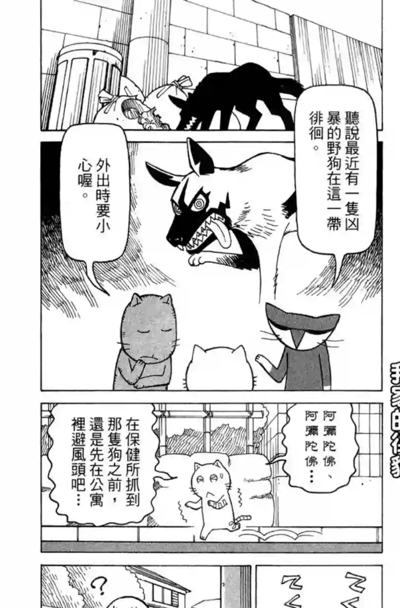 我家的街猫第02卷