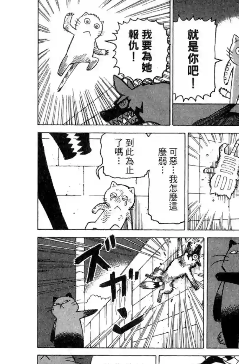 我家的街猫第02卷