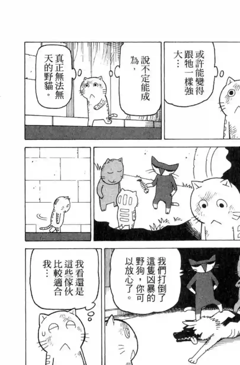 我家的街猫第02卷