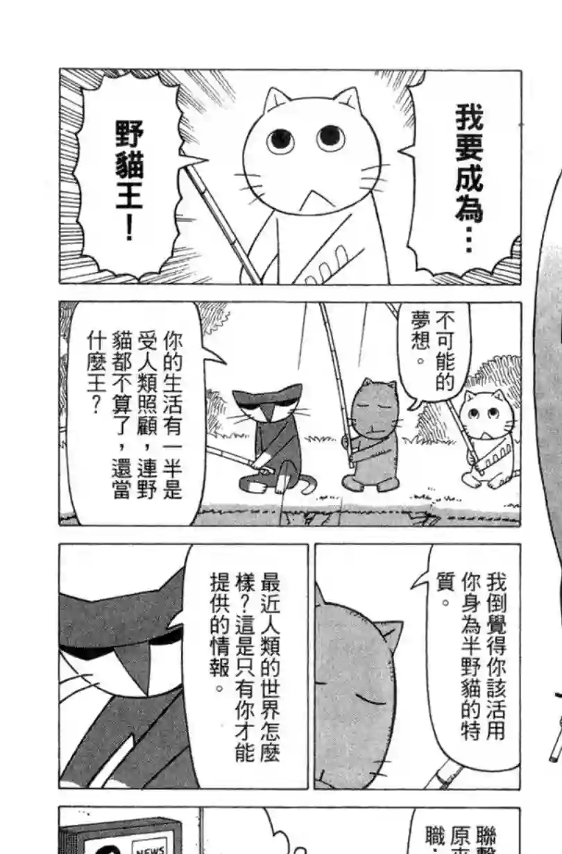 我家的街猫第02卷