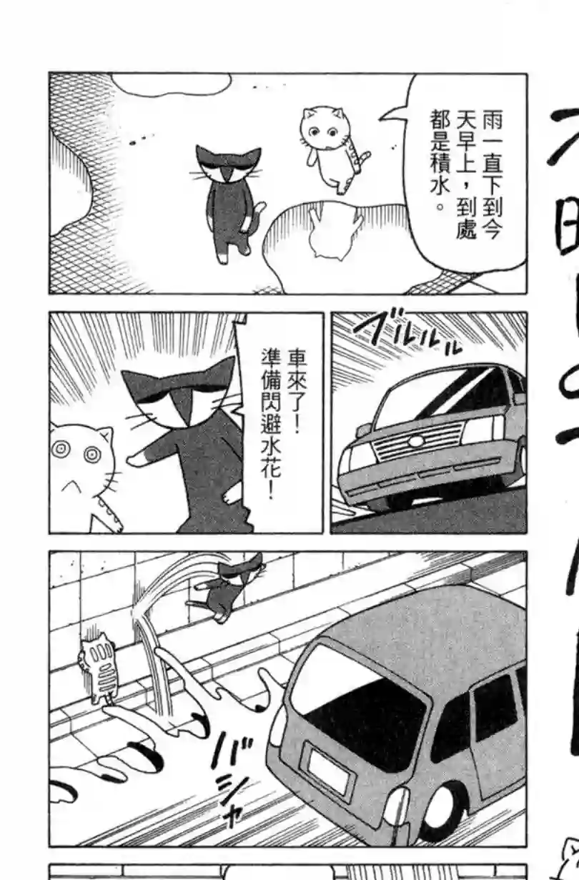 我家的街猫第02卷