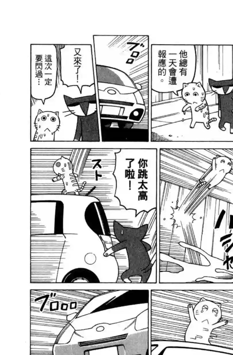 我家的街猫第02卷