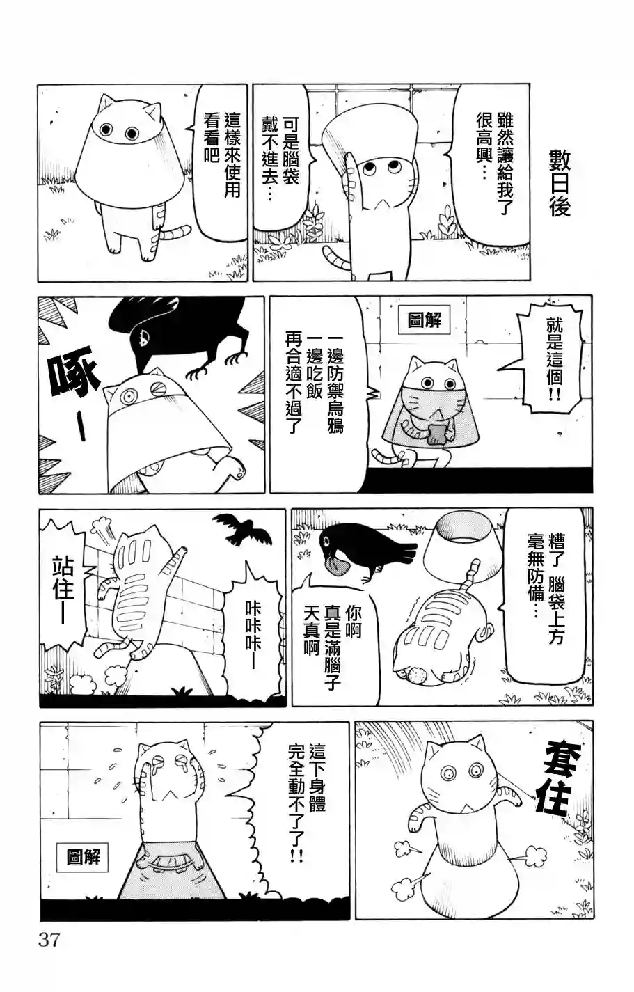 我家的街猫第03卷