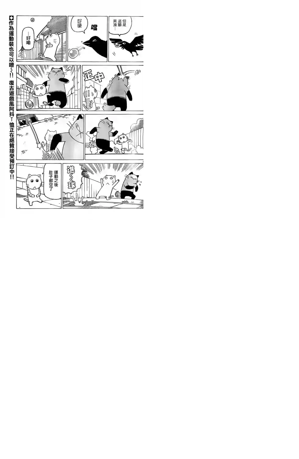 我家的街猫第253话