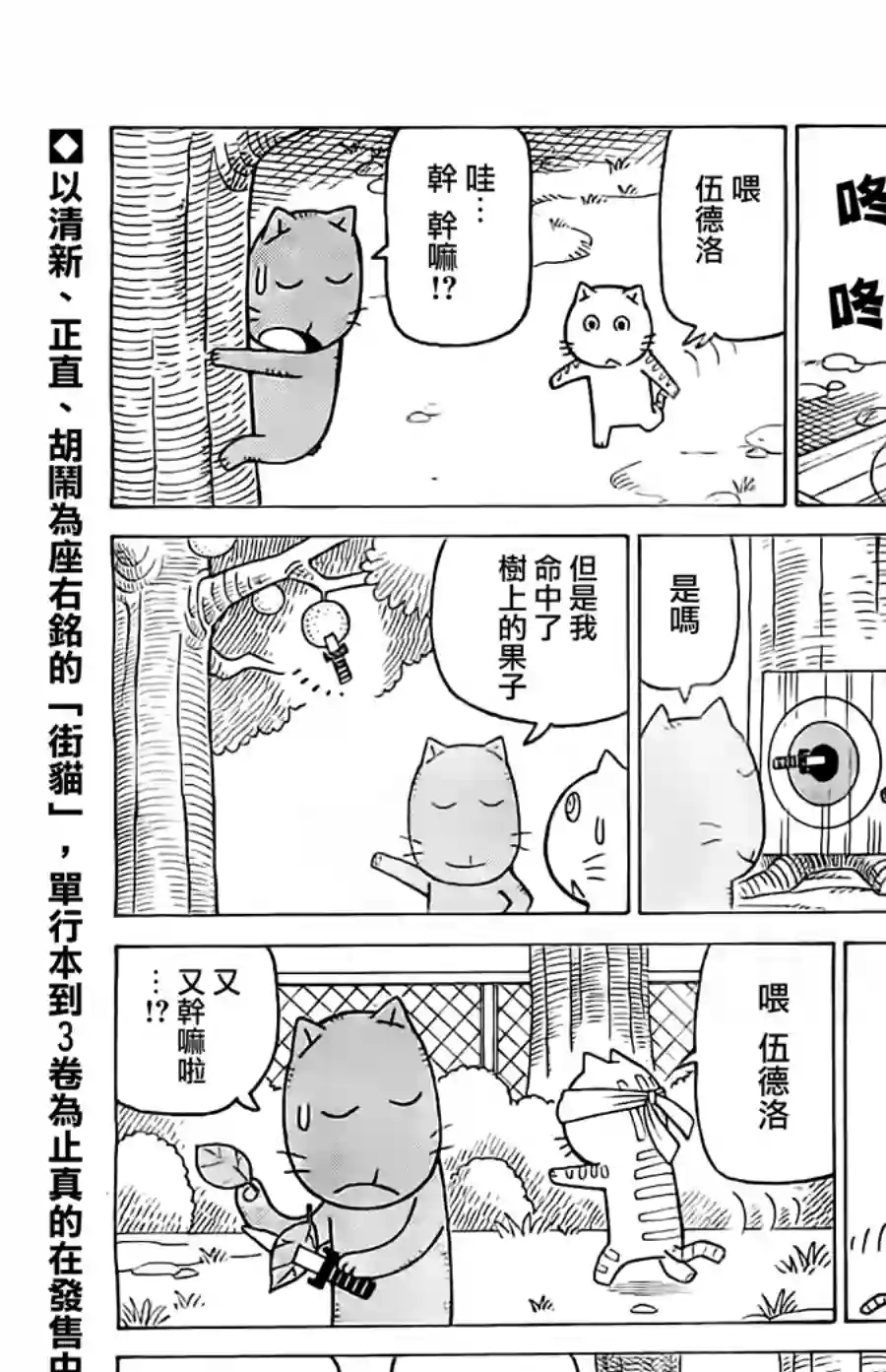 我家的街猫第261话