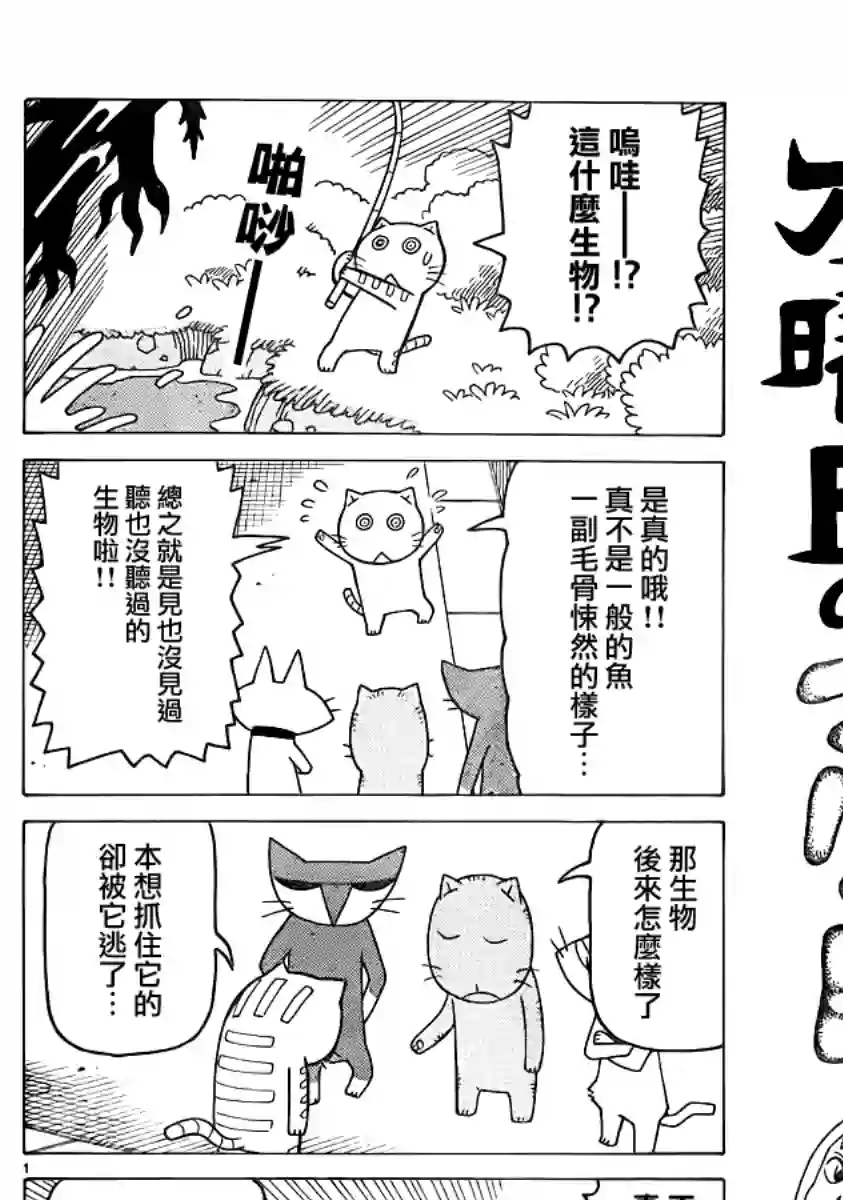 我家的街猫第265话