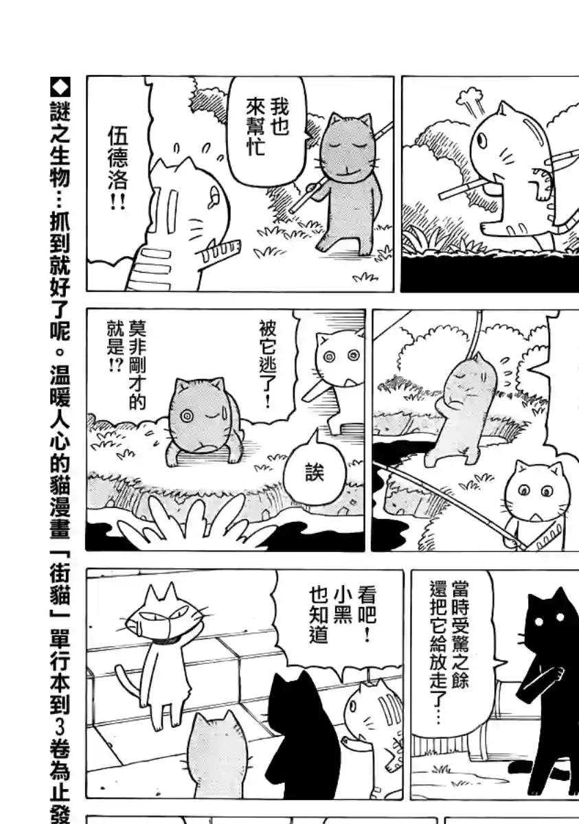 我家的街猫第265话