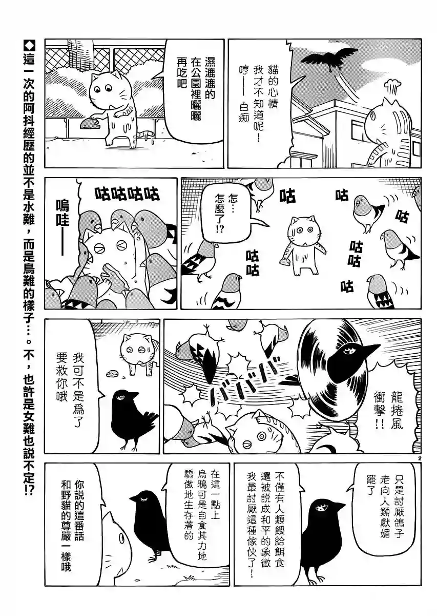 我家的街猫第294话