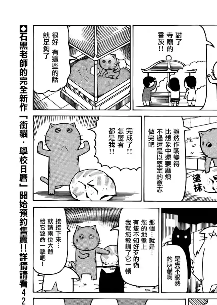 我家的街猫第300话