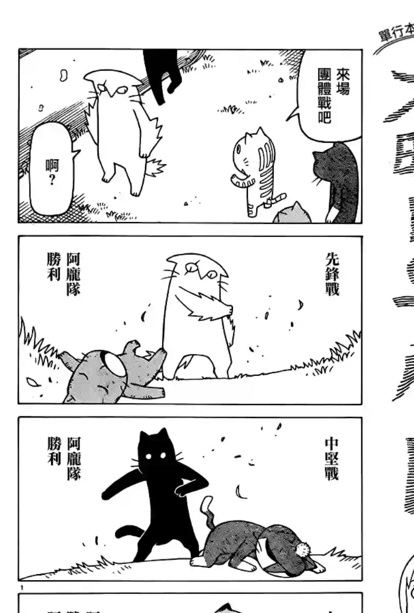 我家的街猫第305话