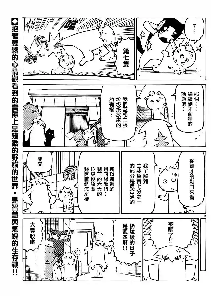 我家的街猫第317话