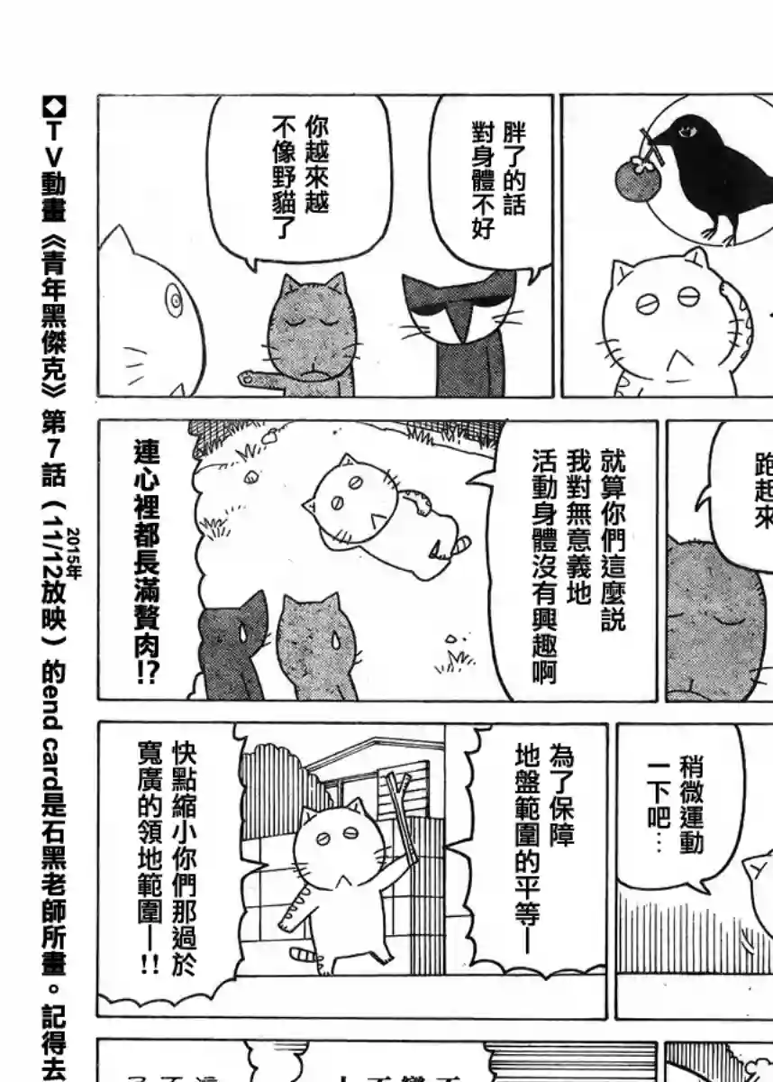 我家的街猫第339话