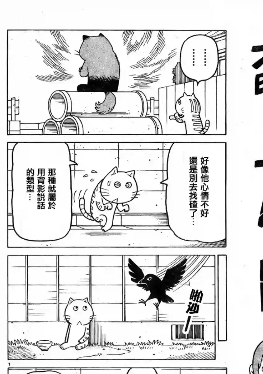 我家的街猫第349话