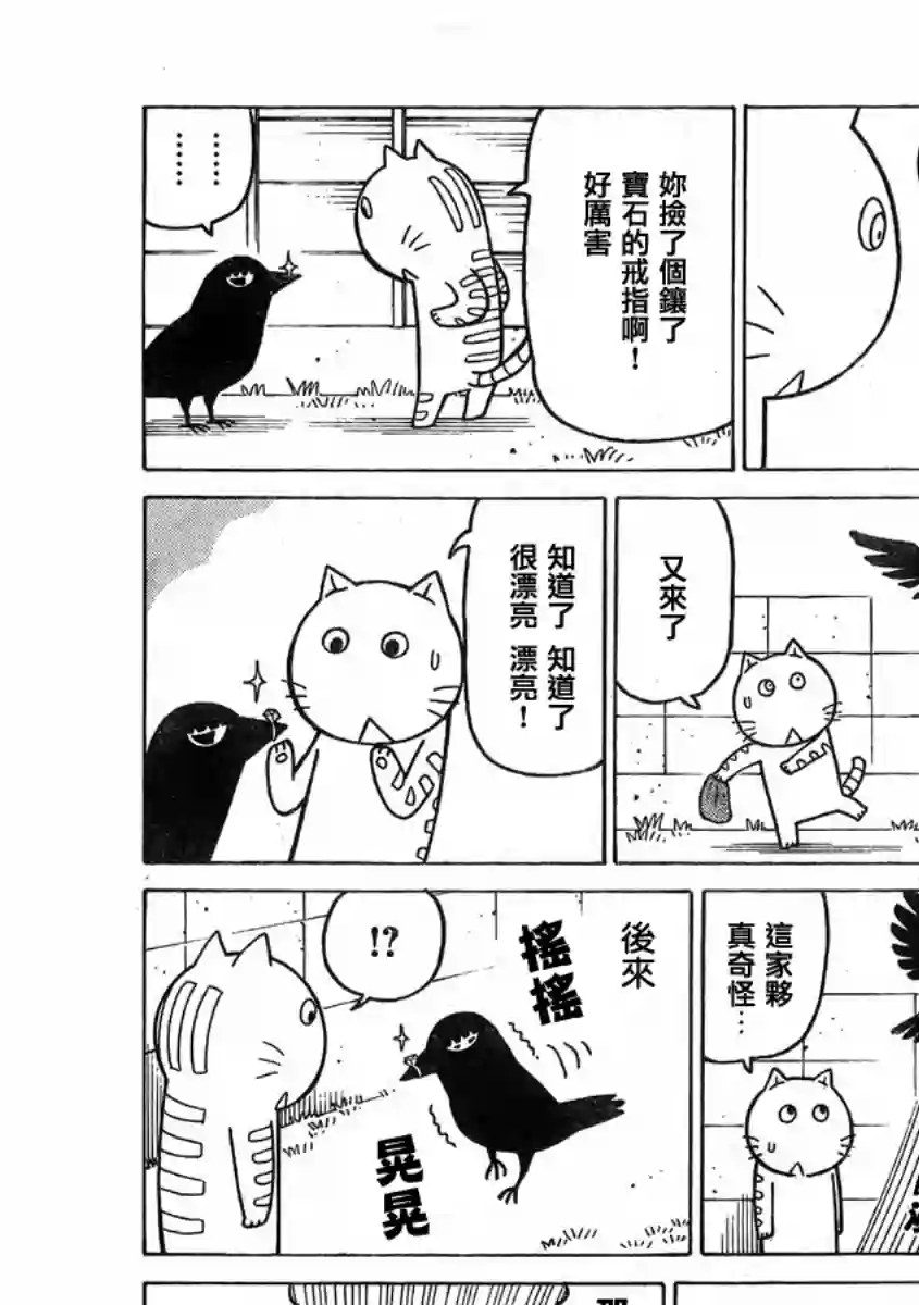 我家的街猫第349话