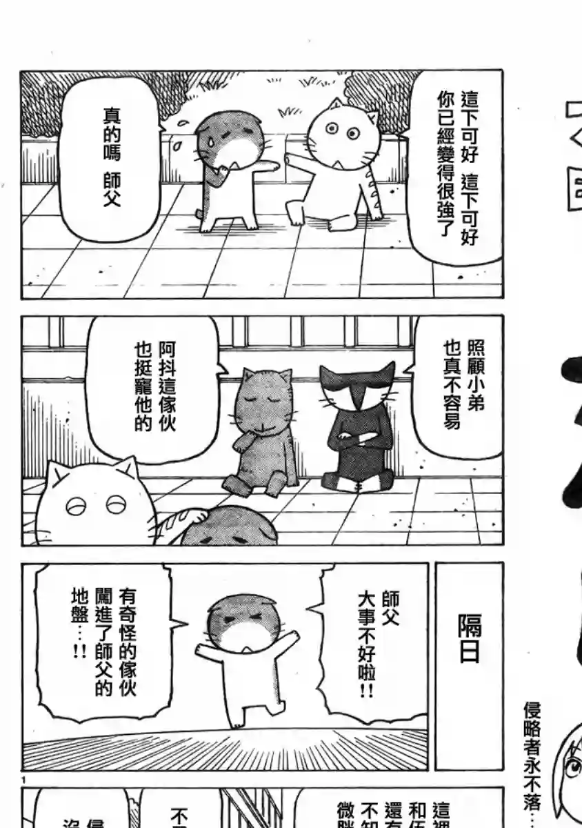 我家的街猫第355话