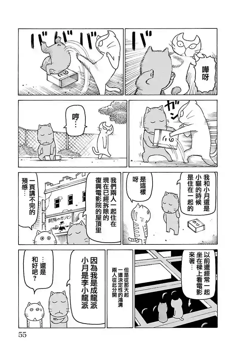 我家的街猫第417话