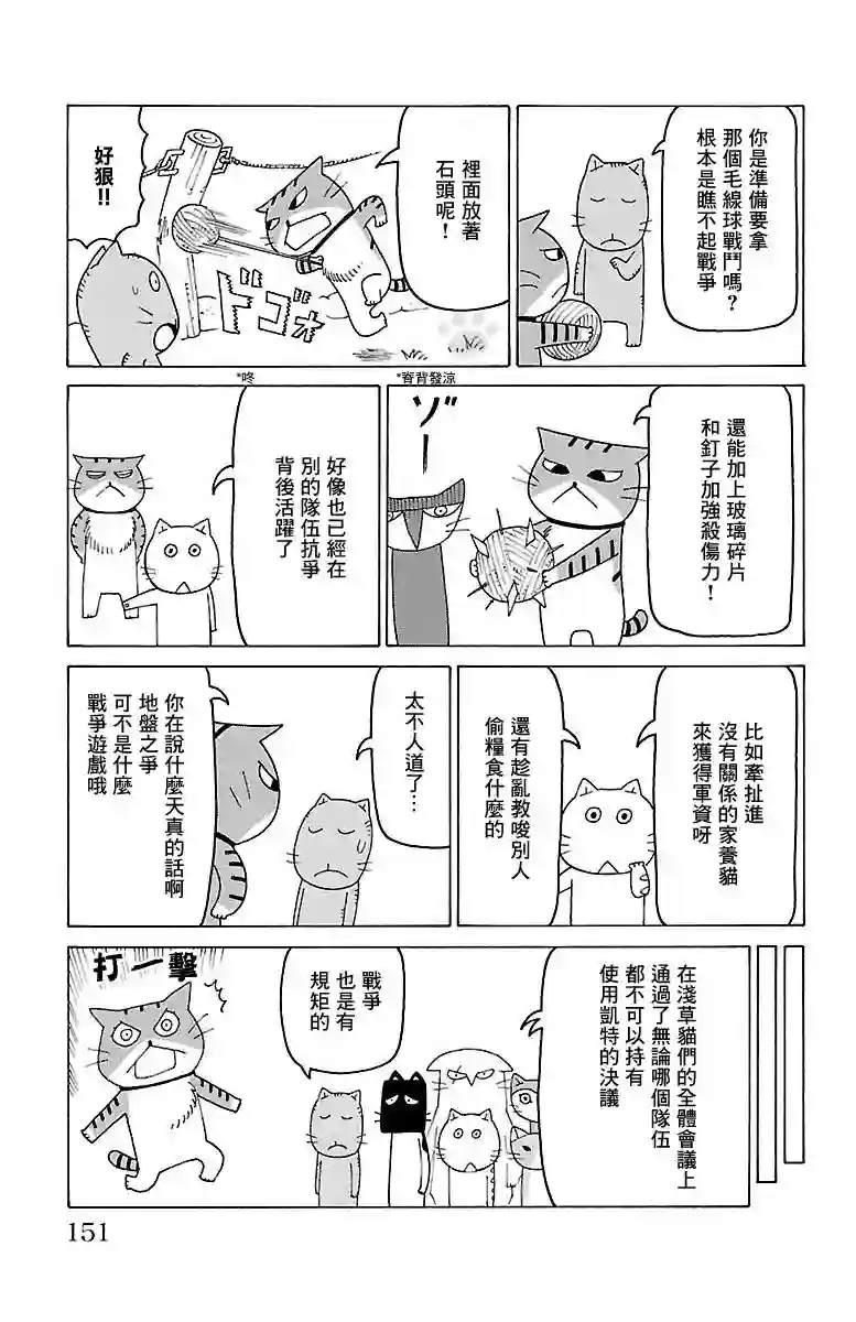 我家的街猫第456话