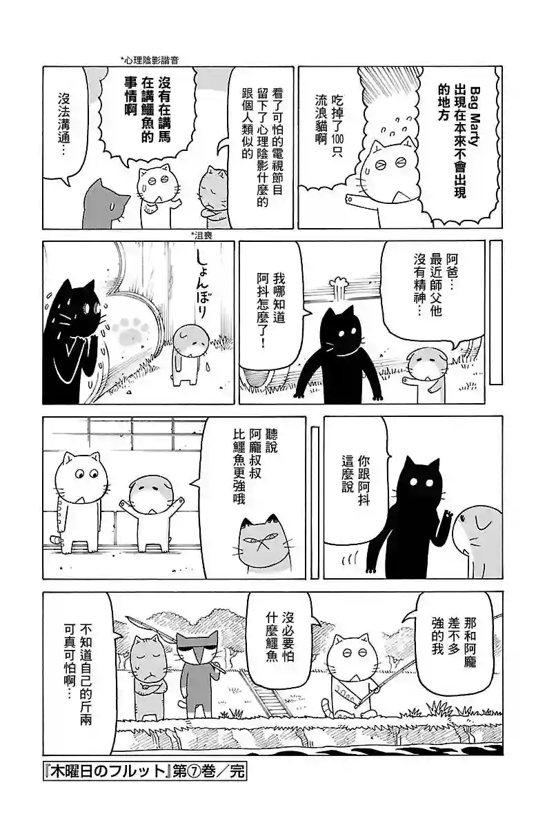 我家的街猫第459话