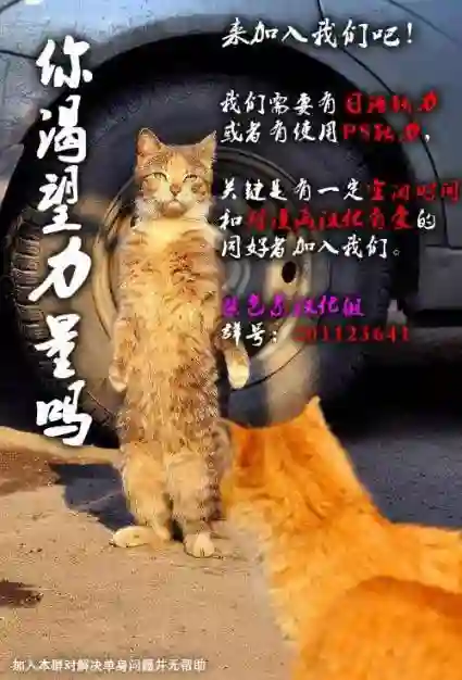 万能鉴定师Q的事件簿（鉴定师Q）第43回