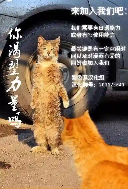 万能鉴定师Q的事件簿（鉴定师Q）第42回