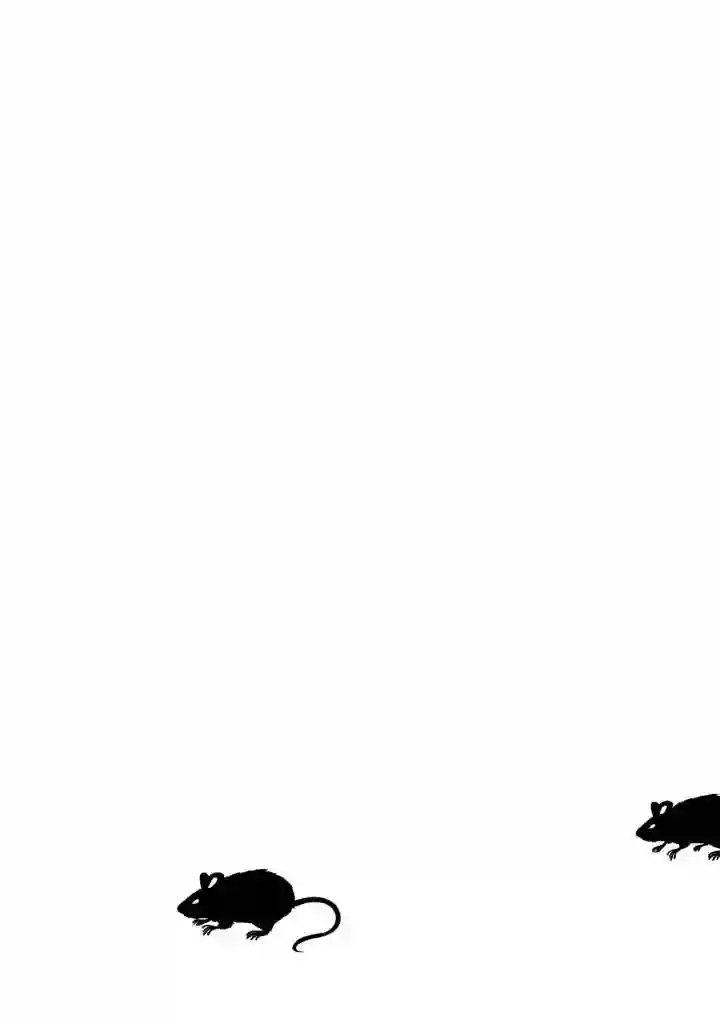 新约Märchen第03卷