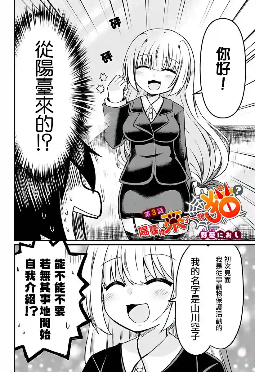 阳台里来了一蜘猫第03话