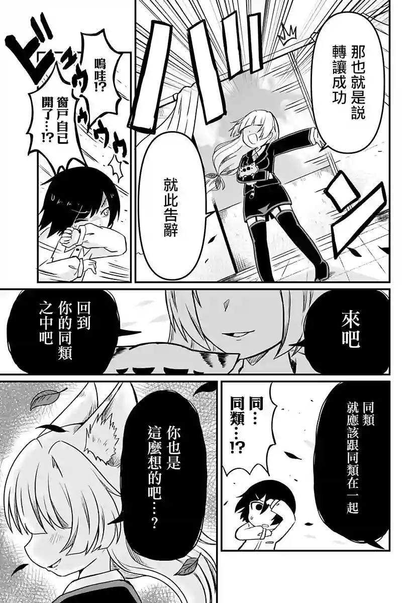 阳台里来了一蜘猫第03话