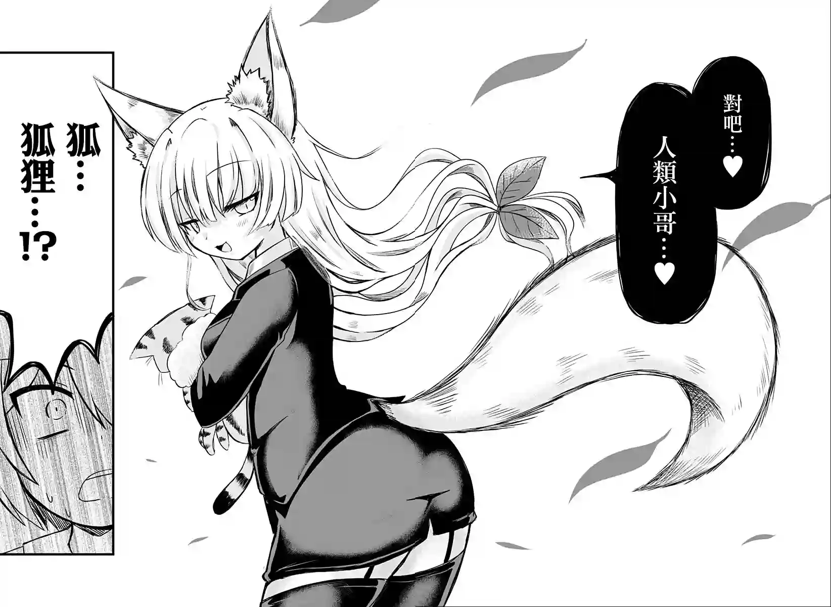 阳台里来了一蜘猫第03话