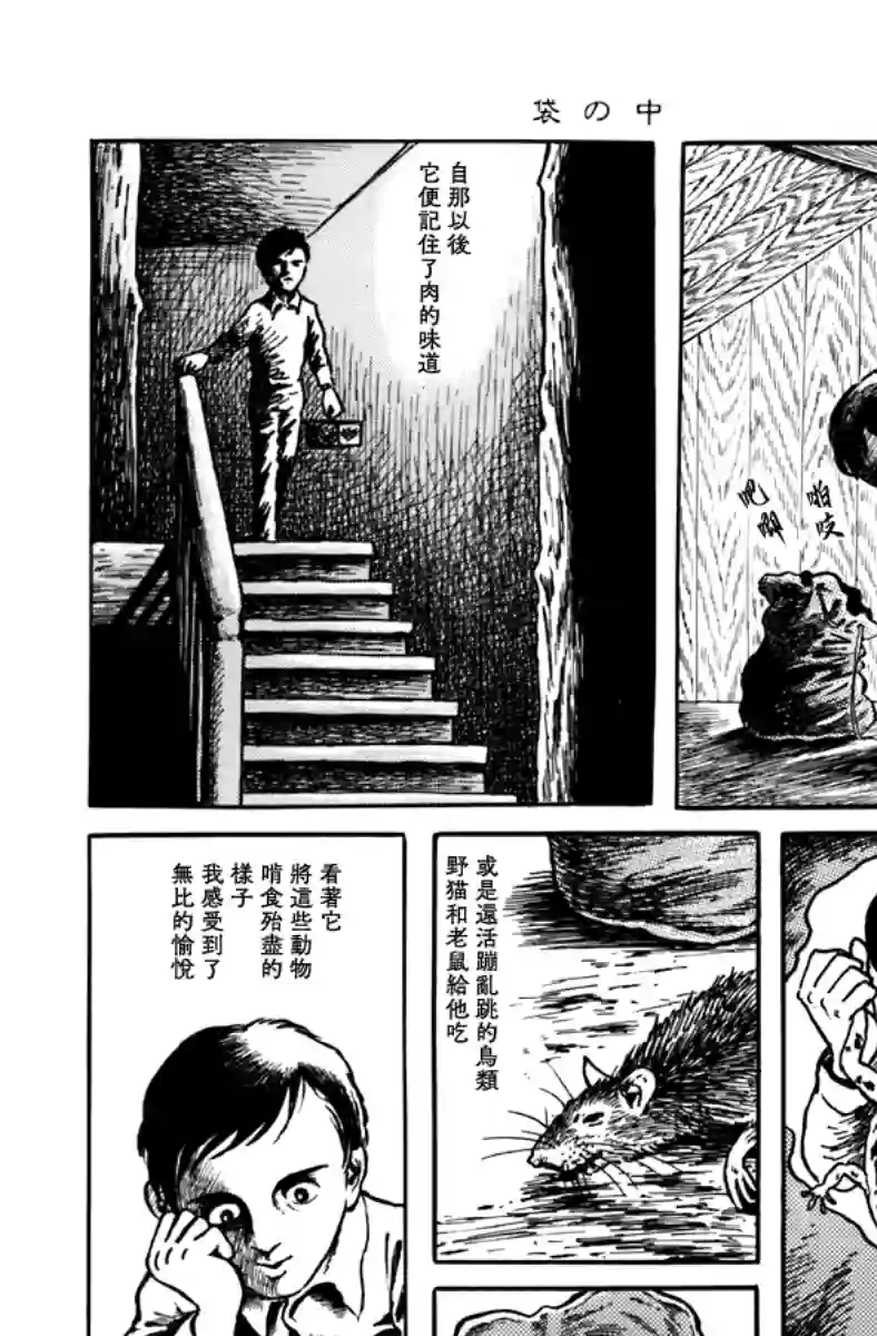 诸星大二郎短篇袋中黑影